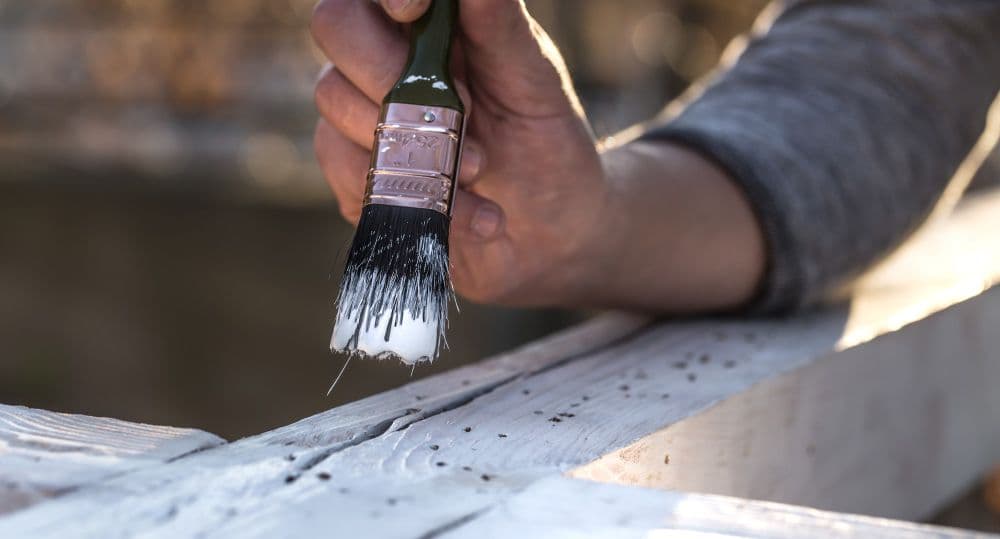 House and commercial painting in Sydney by Contact Building Services